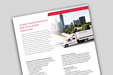 cover of the risk mitigation brochure